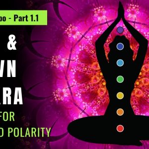 CHAKRA PAIRS -  Root Chakra and Crown Chakra Healing 🔴⚪ Unblock all 7 Chakras With Chakra Combos! ⚪🔴