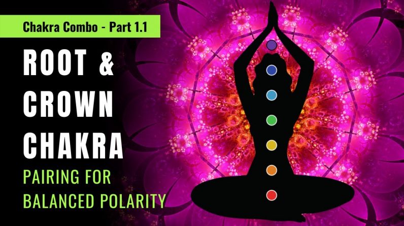 CHAKRA PAIRS -  Root Chakra and Crown Chakra Healing 🔴⚪ Unblock all 7 Chakras With Chakra Combos! ⚪🔴