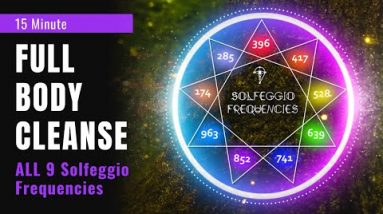 All 9 Solfeggio Frequencies Full Body Aura Cleanse (UNBLOCK all 7 chakras)