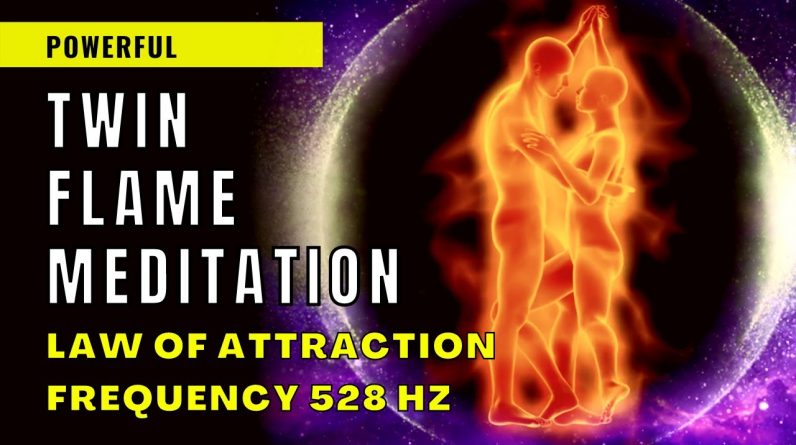 Twin Flame Meditation ???? POWERFUL 528 Hz Frequency ???? 2222 Angel Number ????