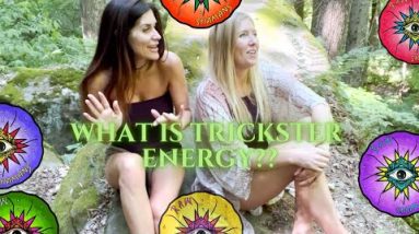 Discover Trickster Energy - Raw Shamans