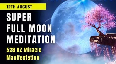 Full Super Moon Meditation 🌕 AUGUST 12 2022 💫 Lions Gate Portal 2022 Wind Down 💖 528 Hz #supermoon