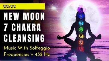 New Moon Meditation November 2022 ✨ New Moon Chakra Meditation ✨ New Moon in Sagittarius
