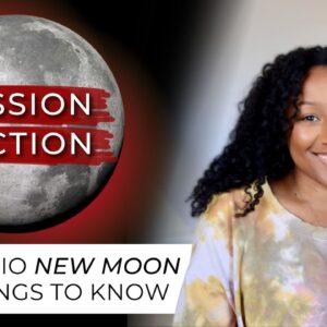 New Moon November 13th - 5 Things to Know ✨