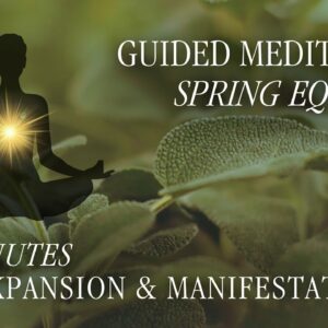 Guided Meditation - Spring Equinox 2024 🌱 🌞