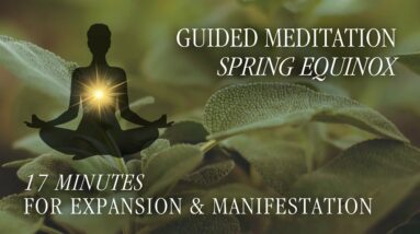 Guided Meditation - Spring Equinox 2024 🌱 🌞